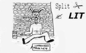 Split Lit: Watership Down And Out
